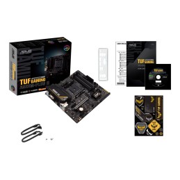 Asus | TUF GAMING A520M-PLUS II | Processor family AMD | Processor socket AM4 | DDR4 DIMM | Memory slots 4